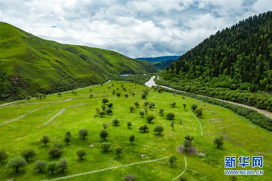 ??? ?? ?? [6? 15? ?? ??/?? ??: ???]