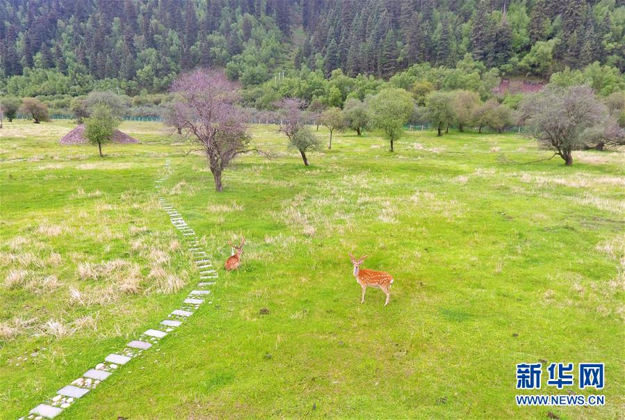 ?? ??? ?? [6? 15? ?? ??/?? ??: ???]