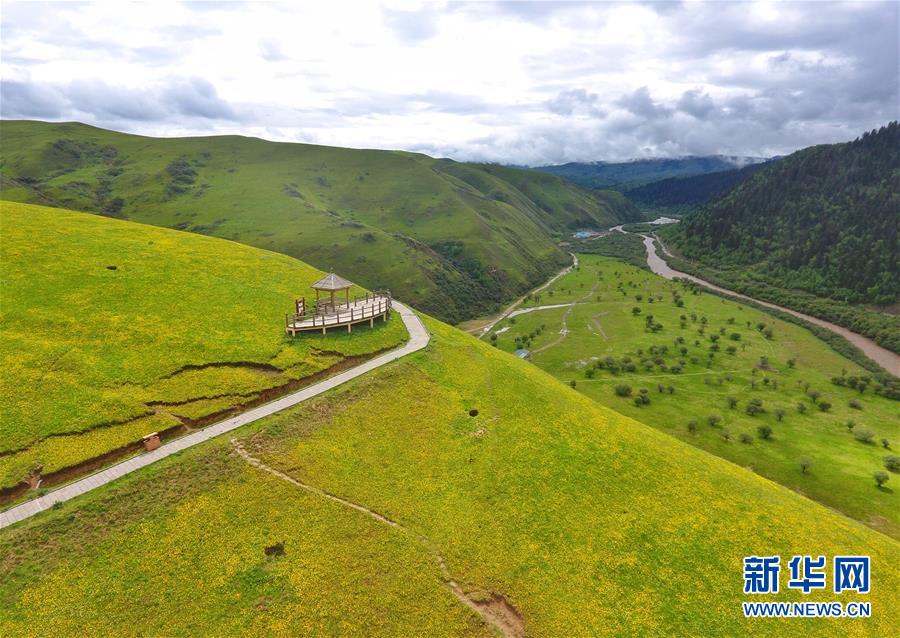 ?? ??? ?? [6? 15? ?? ??/?? ??: ???]