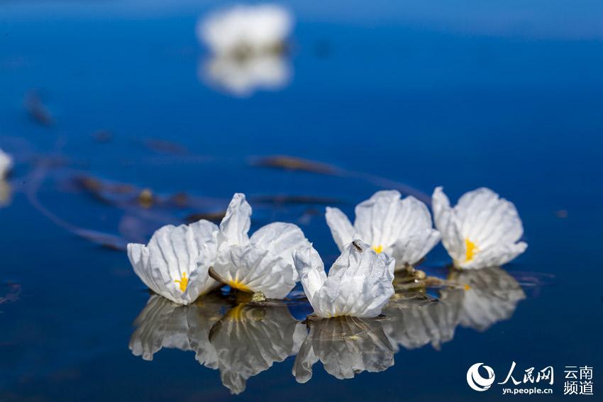 ?? ???? ???? ??? [?? ??: ???]