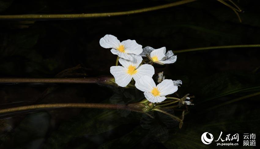 6?? ????? ?? ?? ??? ?? [?? ??: ???]