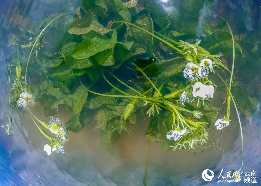 ?? ?? ??? ???? ??? ??? ?? [?? ??: ???]