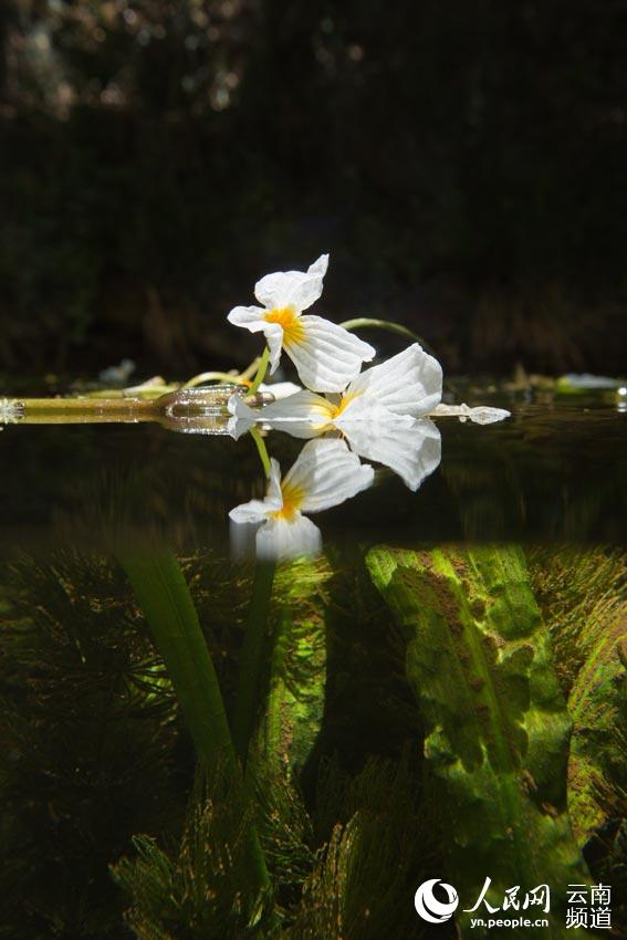 6?? ????? ?? ?? ??? ?? [?? ??: ???]