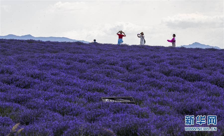 ??, ‘???’ ??? ?? ?? ?? ??