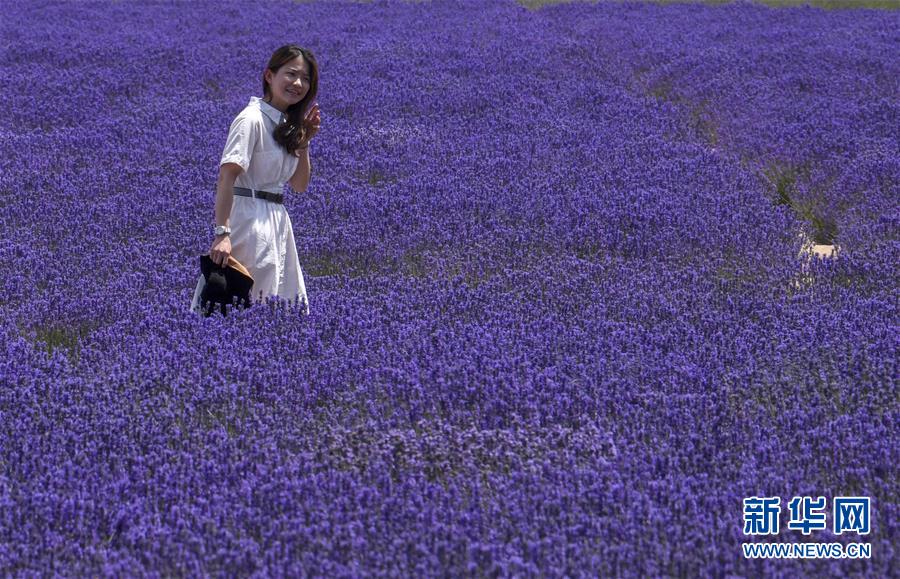 ??? ??? ?? ???? [6? 16? ??/?? ??: ???]