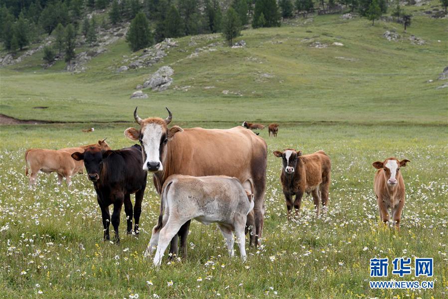 ?? ???? ?? ????? ?? ?? [6? 21? ??/?? ??: ???]