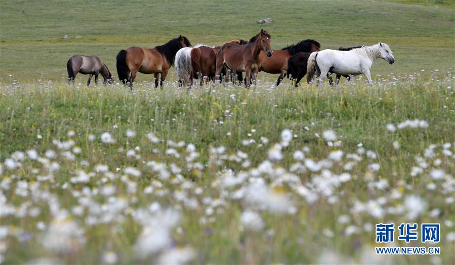 ?? ???? ?? ????? ?? ?? [6? 21? ??/?? ??: ???]