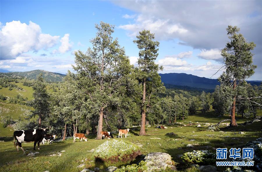 ?? ???? ?? ????? ?? ?? [6? 21? ??/?? ??: ???]