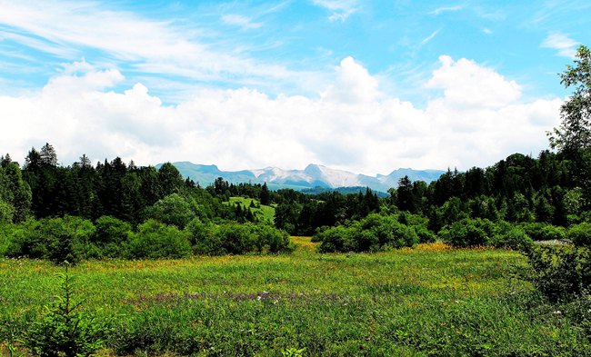 ??(西坡) ?? ?? [?? ??: ???? ?????????]