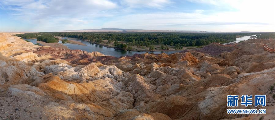 ?? ?????? ???? ??????? ???? ??? [6? 23? ??? ??/?? ??: ???]