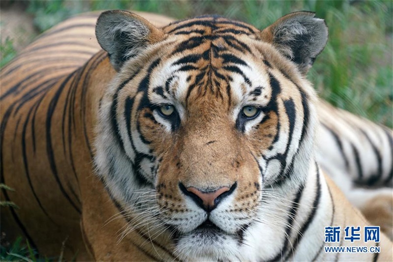 ????????? ????? ?? ??. [7? 29? ??/?? ??: ???]