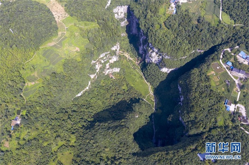 ????? ??? [7? 31? ?? ??/?? ??: ???]