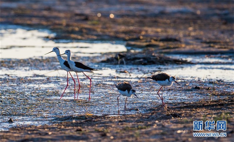 ??????? ?????—???? ????? ??? ???. [7? 28? ??/?? ??: ???]