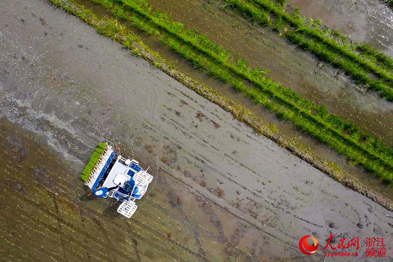 ??? ??? ???? ? ???? ?? ???? ??? ?? ??. [8? 11? ??/?? ??: ???]