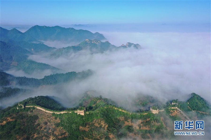 ???? ??? ??? ??? ?? ?? [8? 25? ?? ??/?? ??: ???]