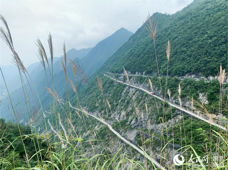 ?? ???? ??? ??? ?? ????? ?? ???? ??? ?? ?? ???. [?? ??: ???/??: ???(陳博文), ???(趙瞳)]