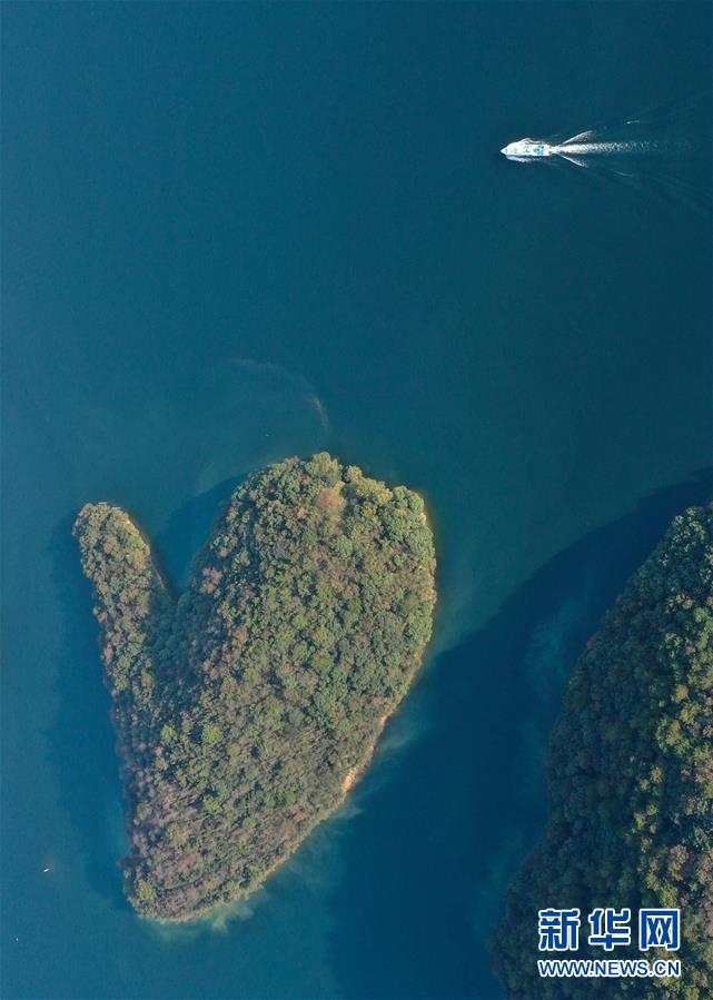 ?? ??? ??? ??? [11? 7? ?? ??/?? ??: ???]