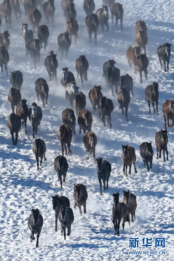 ???? ????????? ??? ???? ??? [2020? 12? 31? ??/?? ??: ???]