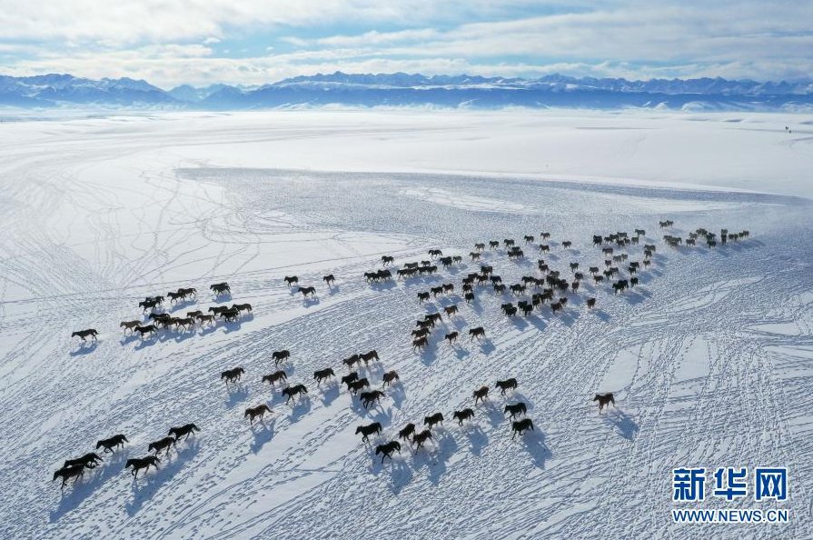 ???? ????????? ??? ???? ??? [2020? 12? 20? ??/?? ??: ???]