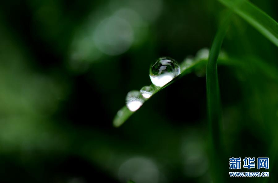 ? ? ? ??? ??(閔行)? ?? ?? [?? ??: ???]