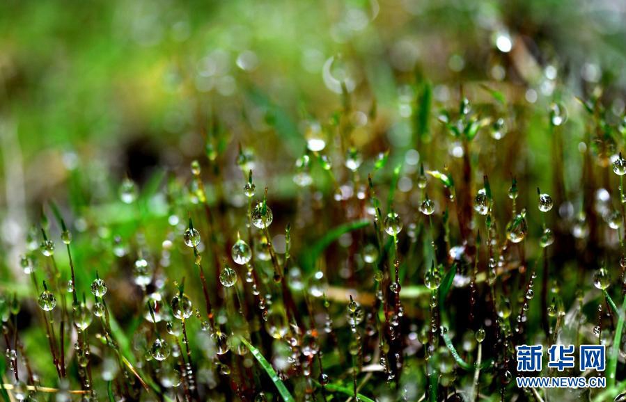 ? ? ? ??? ??(閔行)? ?? ?? [?? ??: ???]