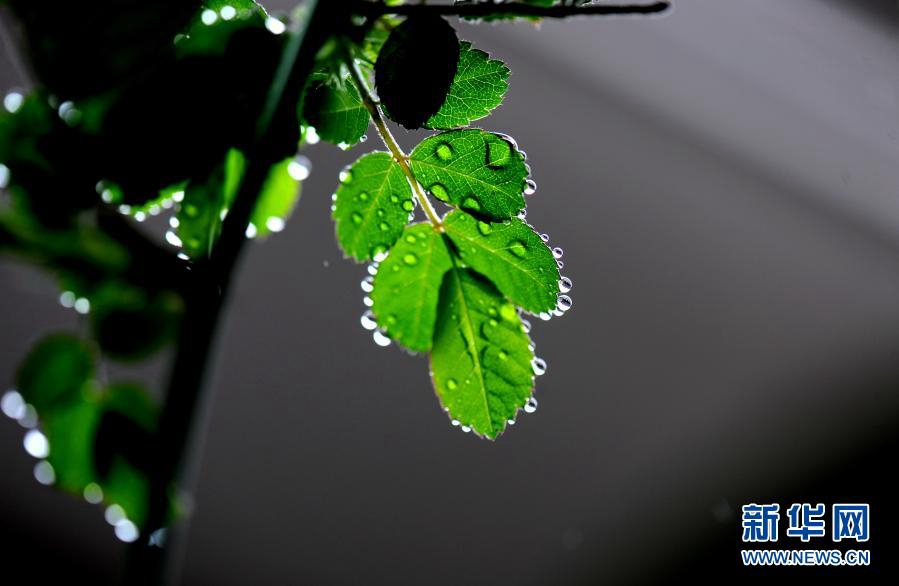 ? ? ? ??? ??(閔行)? ?? ?? [?? ??: ???]