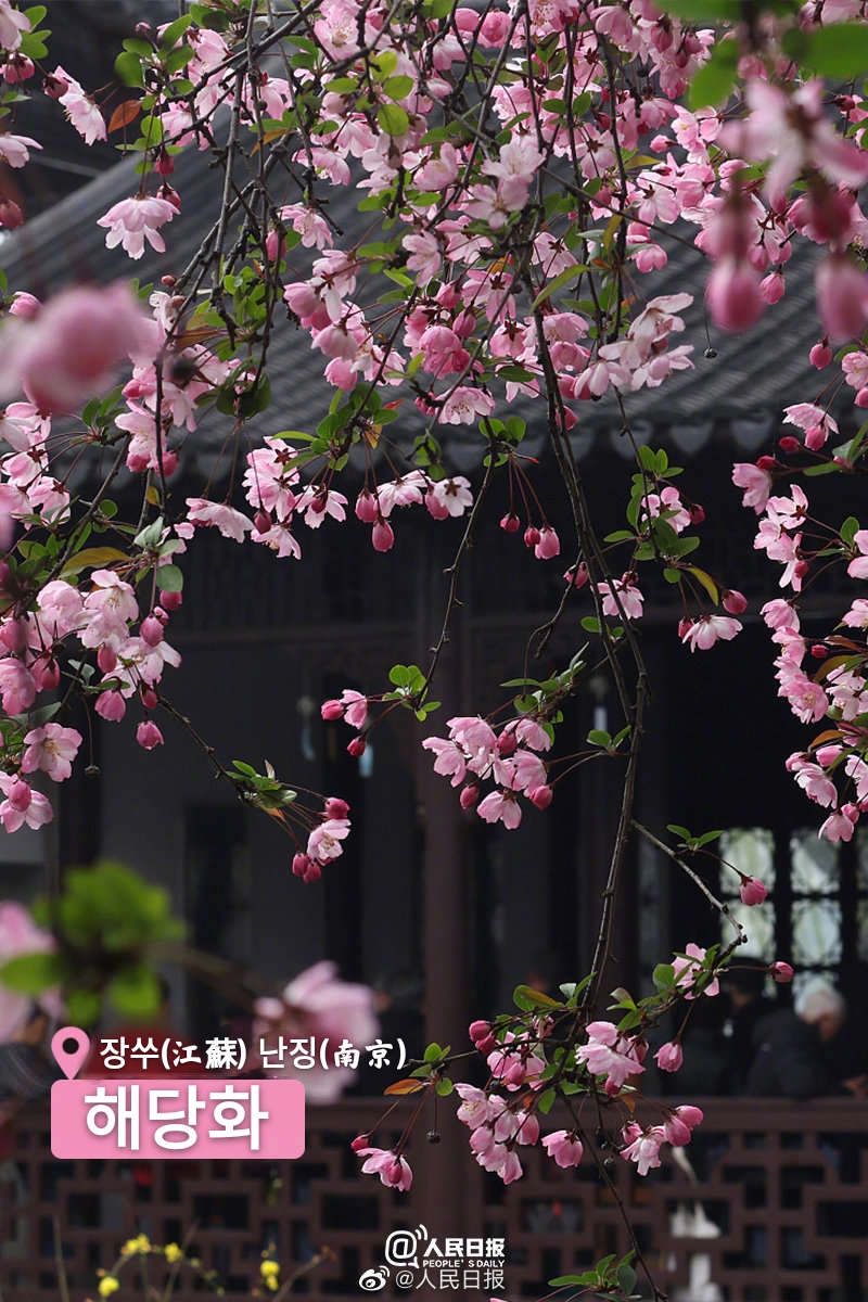 ??(江蘇) ??(南京)? ???