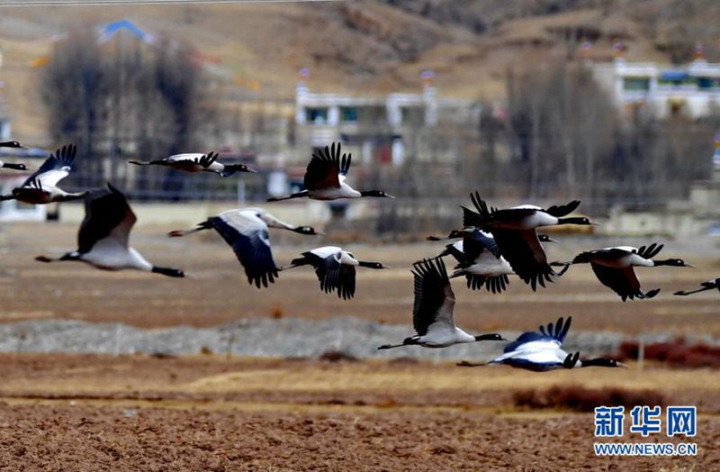 ?? ?? ?? ?? ?????? [3? 14? ??/?? ??: ???]