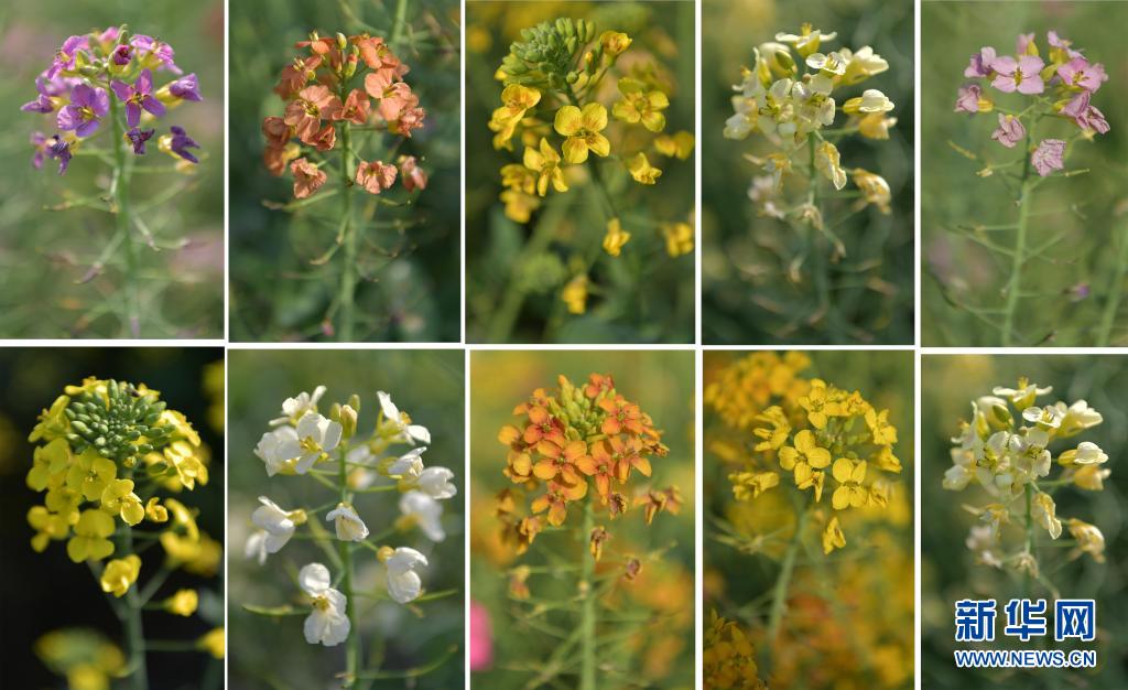 ??? ??? ??? [3? 24? ??/?? ??: ???]