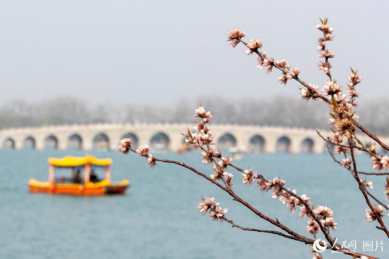 3? 25?, ????(頤和園, ????) ??(西堤)?? ??? ???? ?? ??? ?????(十七孔橋?????)? ?? ??? ??? ???? ??. [?? ??: ???] 