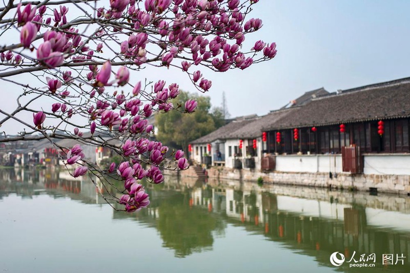 3? 14?, ??(江蘇)? ???(蘇州)? ??(震澤) ??? ? ??? ????. [?? ??: ???] 