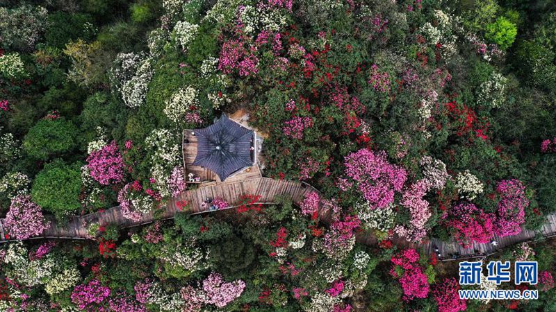 ???? ?????? ?? ??? [3? 21? ?? ??/?? ??: ???]