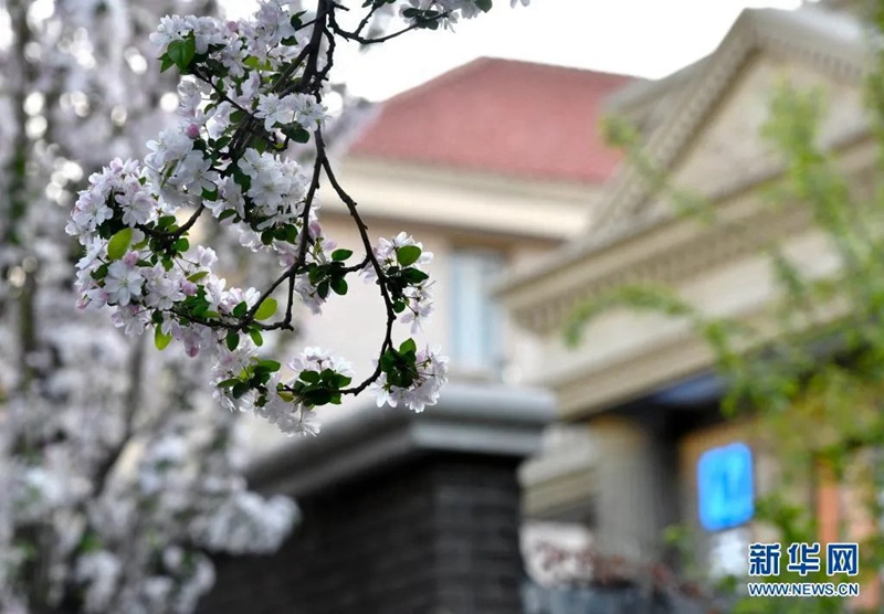 ??(天津)? ????(大理道) ??. ?? ??? ???? ???? ???? ????. ???? ??? ??? ??? ?? ???? ???? ??? ???? ??? ??? ???. [4? 3? ??/?? ??: ???]