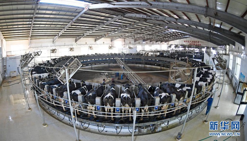 ?? ???(中衛(wèi))? ??(沐沙) ?? ???? ?? ????? ??? ?? ??. ?? ??? 7? ?? ? ? ?? ??? ??? ????. ?? ?? ?? ??? ??? ???? ??? ??? ???? ????? ????? ‘????’?? ???. [2020? 9? 14? ??/?? ??: ???]