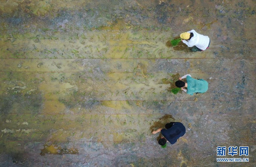 ????? ???(廣州) ??(增城) ??(華南)???? ?? ??? ??(嫦娥) 5?? ?? ?? ??? ?? ??. ? 40??? ‘?? ??’? 2020? 11? ?? 5?? ?? ? ??? ?? ? 23?, 76? ????? ‘????’? ??? ??? ????. [2021? 3? 29? ?? ??/?? ??: ???]