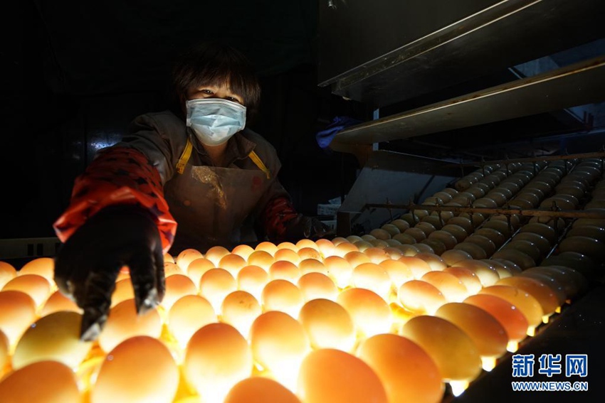 ??(江蘇) ???(高郵) ???? ??? ?????? ??? ????? ??. ‘??? ???’? ???? ???? ?? ????. ?? ?? ??? ??, ????, ???? ?? ?? ?? ??? ??? ????? ????? ???? ??? ???? ?? ?????? ?????. [2020? 4? 15? ??/?? ??: ???]