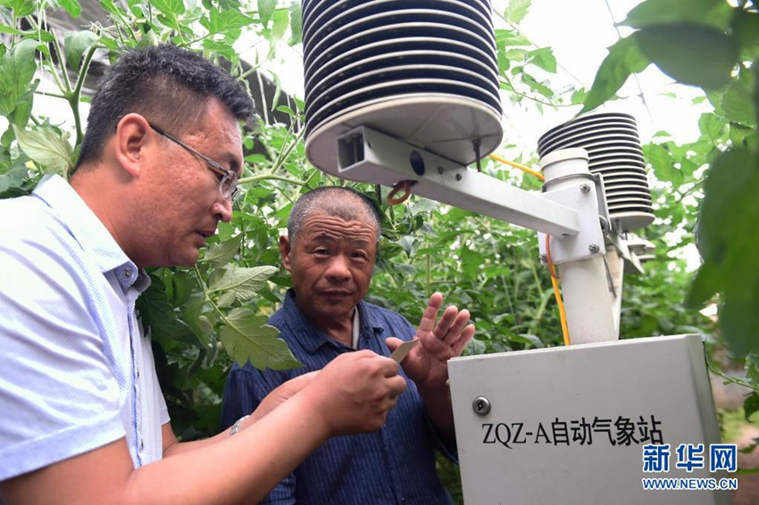 ?? ???(鄒平)? ??(明集)? ??(金坤)???? ???? ???? ??? ?? ??? ????? ????. ? ??? ??? ??? ??, ??? ??, ??, ?? ?? ?? ?? ? ???? ??? ? ??. [2018? 5? 14? ??/?? ??: ???]