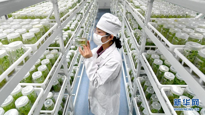 ??(陝西) ??(榆林)? ??(定邊)?? ???????? ???? ????? ?? ??? ???. ?? ?? ?? ??? ????, ???, ???, ???? ?? ?? ????, ?? ?? ??? ?? ??? ??? ??? ?? ??? ?? ???? ???. [2020? 5? 30? ??/?? ??: ???]