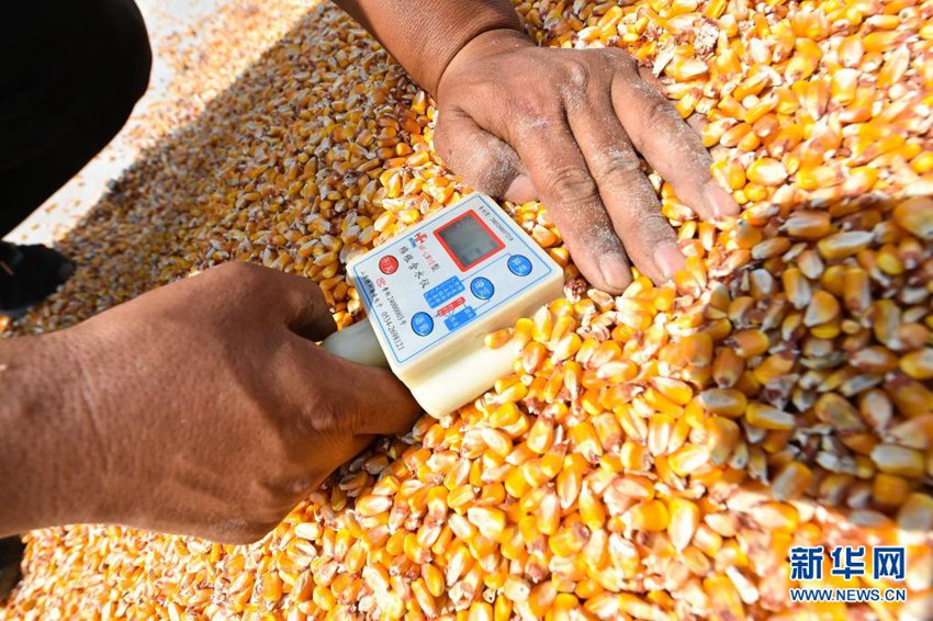 ??(山西) ??(運(yùn)城)? ??(萬榮)? ??(南張)? ????(太趙)?? ?? ??(李挺) ?? ????? ???? ???? ????. ?? ?? ??? GPS ????, ??? ????, ??? ?? ?? ?? ?? ???? ??? ?? ??? ?? ???? ??? ??? ??? ??? ‘???’? ????? ????. [2020? 9? 20? ??/?? ??: ???]