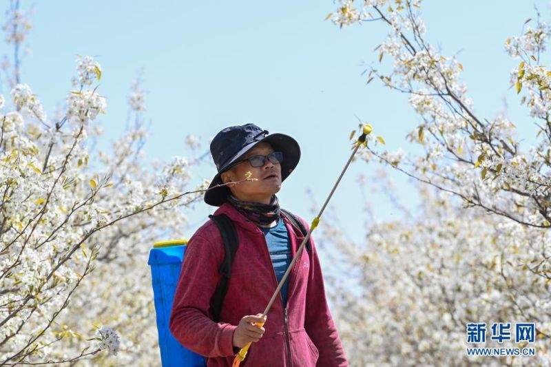 ??? ?? ?? ?? ???. [4? 11? ??/?? ??: ???]