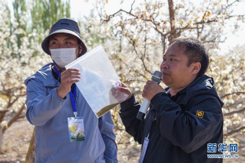 ????? ??? ??? ??? ??? ????. [4? 11? ??/?? ??: ???]