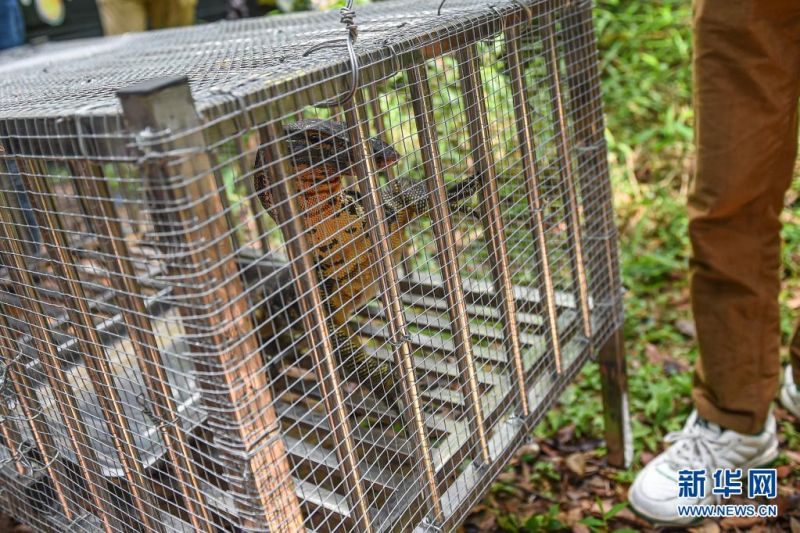 ???? ??? ???? ?????? ?? [4? 15? ??/?? ??: ???]