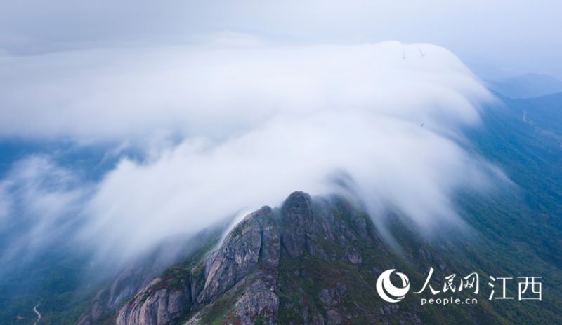 ????? ???? ?? [?? ??: ???]