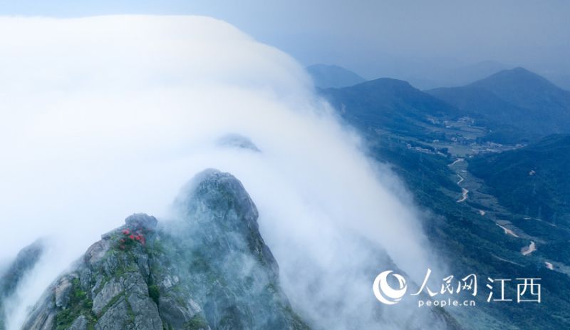 ?? ?? ??? ??? ????? ??? ???. [?? ??: ???]