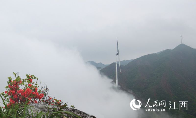 ?? ?? ??? ??? ????? ??? ???. [?? ??: ???]