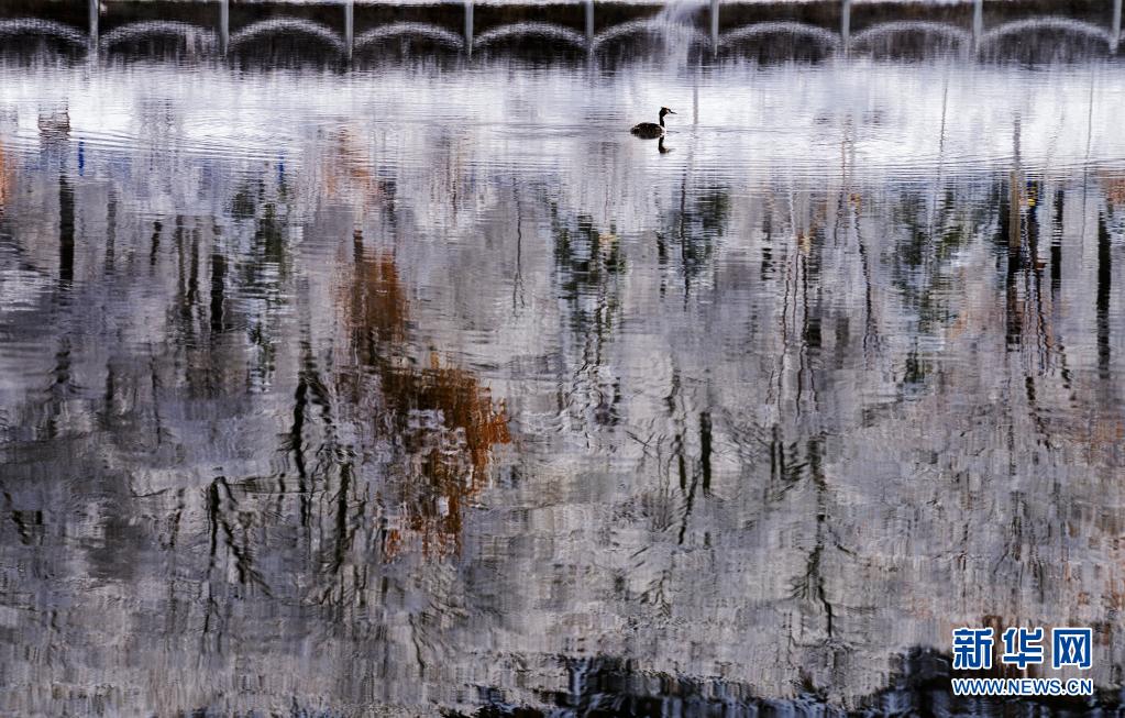 [4? 24? ??/?? ??: ???]