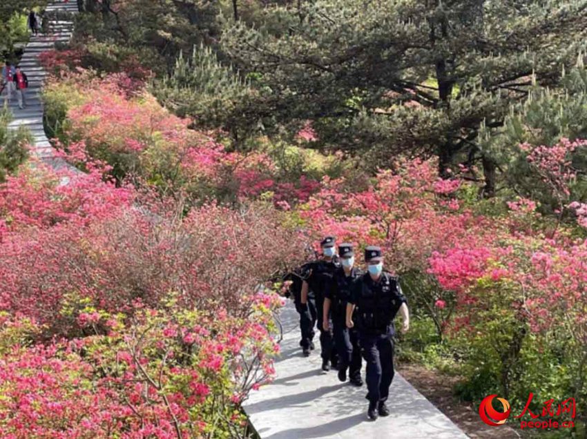 ????? ???? ???? ??. [?? ??: ???]