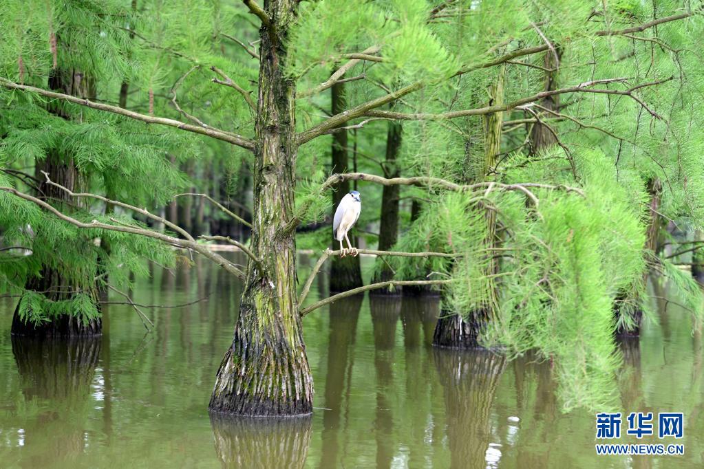 ?? ????? ??? ??? ???? ??. [5? 12? ??/?? ??: ???]