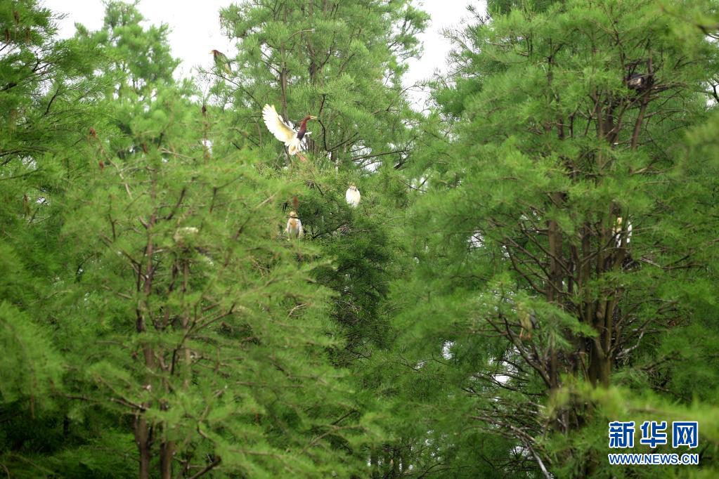 ?? ????? ??? ??? ???? ??. [5? 12? ??/?? ??: ???]