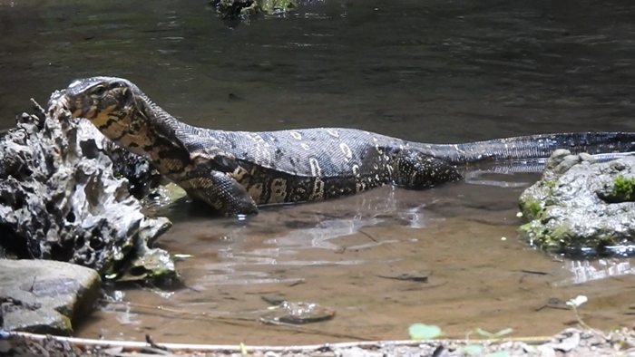 ?? ?? ??? ???????? ??? ????? [?? ??: ???]